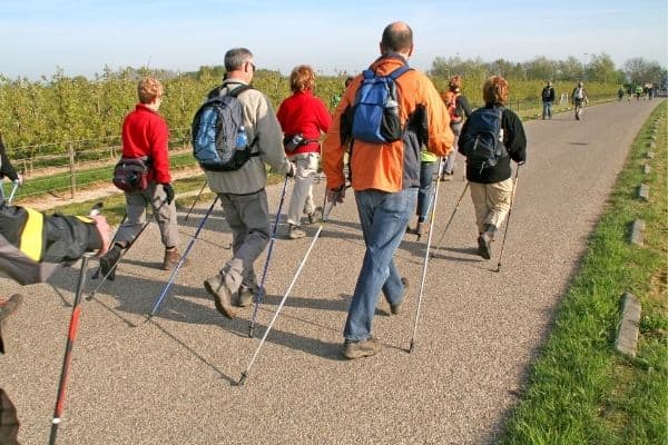 Mehrere Personen beim Nordic Walking