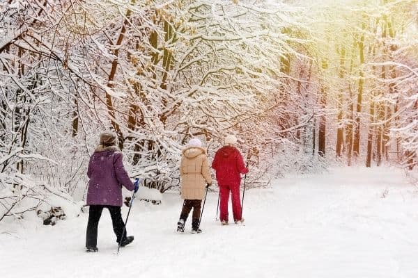 Nordic Walking - Winterlandschaft